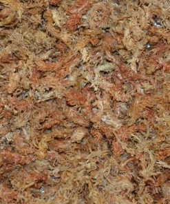 Hot Sale ⭐ Thing Soil & Soil Amendments Sphagnum Peat Moss Organic Peat Moss Moisture Control 😀 -Landscaping Official Shop 05109648