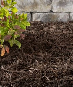 Best reviews of 🔥 Thing Premium 2-cu ft Dark Brown Hardwood Mulch 😍 -Landscaping Official Shop 05316692 scaled