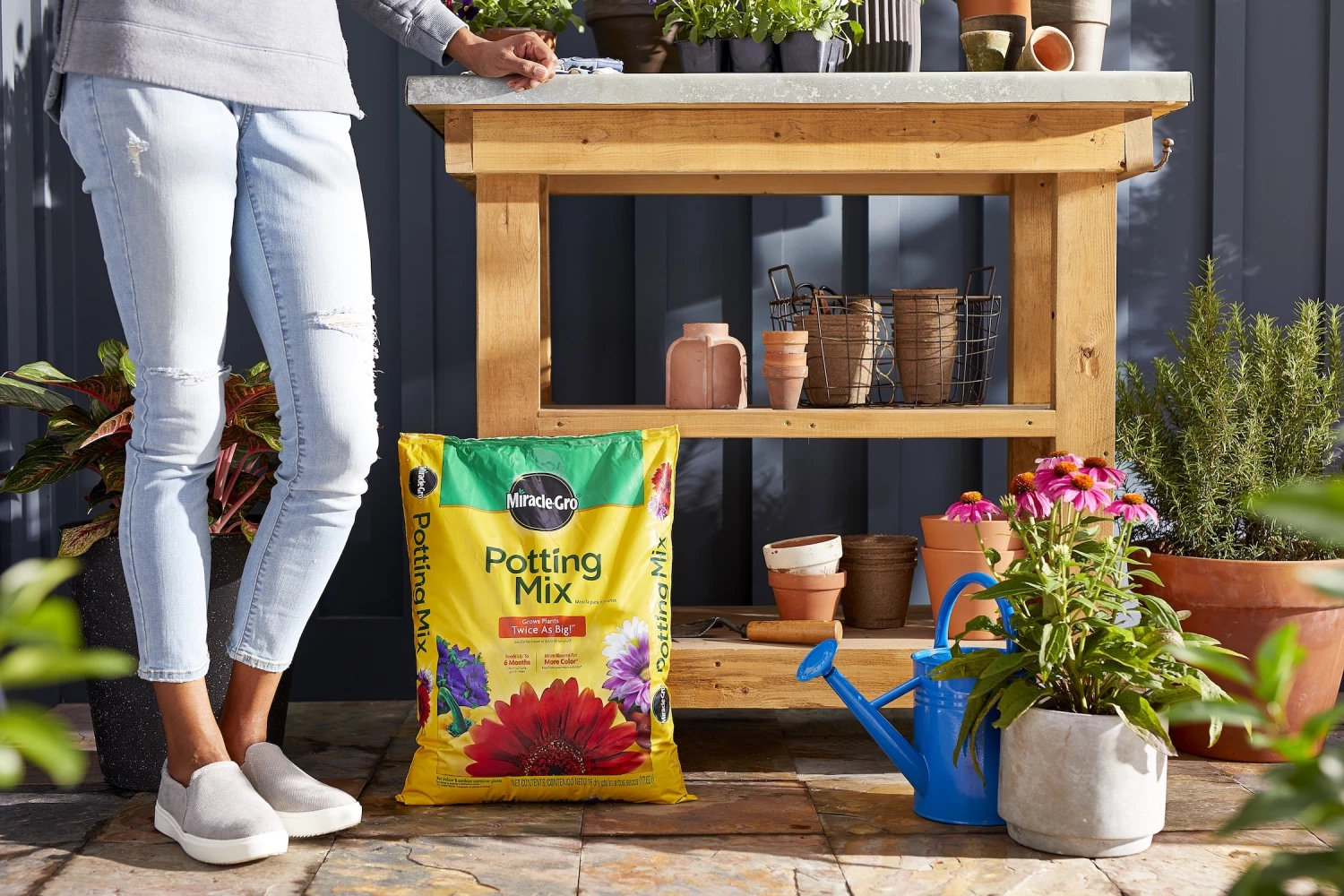 Budget 🧨 Miracle-Gro Soil & Soil Amendments 16-Quart Potting Soil Mix ❤️ 2 Budget 🧨 Miracle-Gro Soil & Soil Amendments 16-Quart Potting Soil Mix ❤️ - Image 2