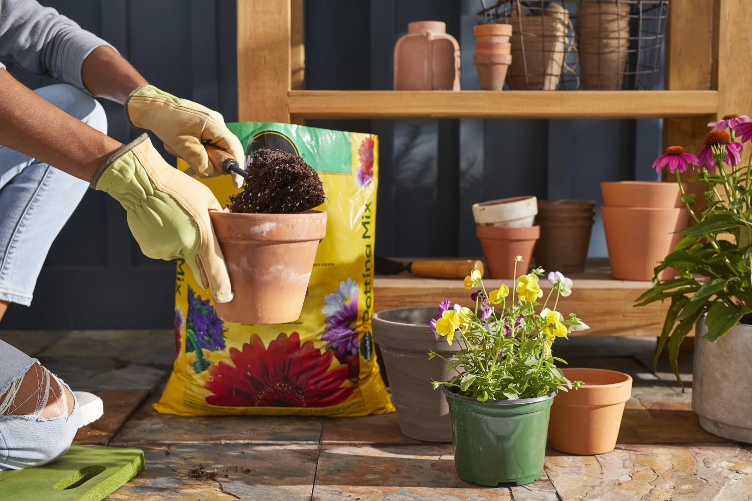 Budget 🧨 Miracle-Gro Soil & Soil Amendments 16-Quart Potting Soil Mix ❤️ 4 Budget 🧨 Miracle-Gro Soil & Soil Amendments 16-Quart Potting Soil Mix ❤️ - Image 4