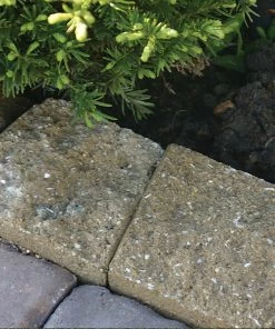 Wholesale 👍 Thing Insignia 5-in L x 8-in W x 3-in H Concrete Straight Edging Stone ⌛ -Landscaping Official Shop 07921840