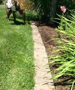 Wholesale 👍 Thing Insignia 5-in L x 8-in W x 3-in H Concrete Straight Edging Stone ⌛ -Landscaping Official Shop 07921841