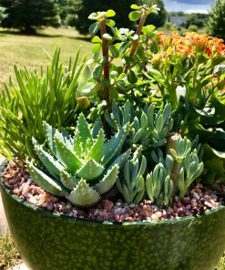 Cheapest ⌛ AKASHA Landscaping Rock 4-lb Indoor Decorative Rock ❤️ -Landscaping Official Shop 08250211