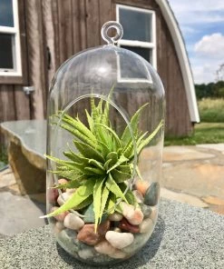 Best Sale ⭐ AKASHA Landscaping Rock 5-lb Indoor Decorative Rock 🧨 -Landscaping Official Shop 08250215