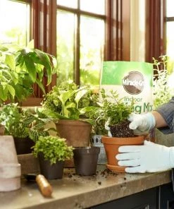 Cheap 🎁 Miracle-Gro Soil & Soil Amendments Indoor 6-Quart Potting Soil Mix 🌟 -Landscaping Official Shop 08465712