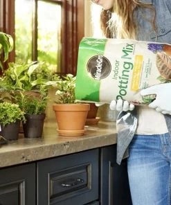 Cheap 🎁 Miracle-Gro Soil & Soil Amendments Indoor 6-Quart Potting Soil Mix 🌟 -Landscaping Official Shop 08465713