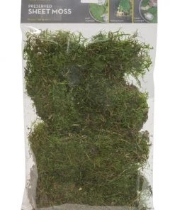 Buy 🛒 Thing Soil & Soil Amendments 90 Cubic Inch(Es) Sheet Moss ⌛