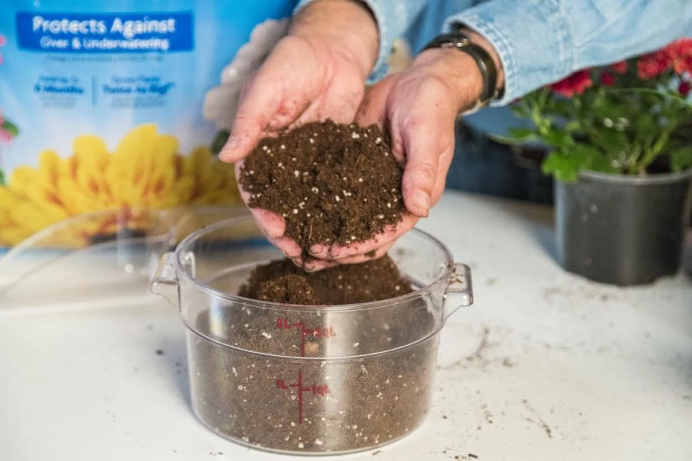 Best Pirce ❤️ Miracle-Gro Soil & Soil Amendments Moisture Control 50-Quart Potting Soil Mix 🤩 3 Best Pirce ❤️ Miracle-Gro Soil & Soil Amendments Moisture Control 50-Quart Potting Soil Mix 🤩 - Image 3