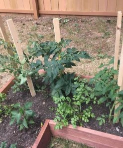 Deals ⌛ Thing Landscape Fabric & Stakes 12-Pack 12-in Wood Landscape Stake 🔥 -Landscaping Official Shop 08887964