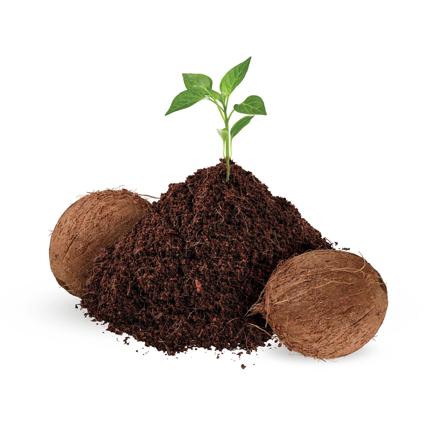 Hot Sale ⌛ Sta-Green Soil & Soil Amendments Organic Coconut Coir Moisture Control ⌛ 2 Hot Sale ⌛ Sta-Green Soil & Soil Amendments Organic Coconut Coir Moisture Control ⌛ - Image 2