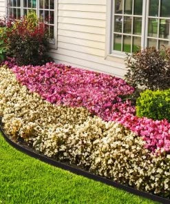 Wholesale 🛒 EasyFlex 40-ft Black Plastic Landscape Edging Roll 🧨 -Landscaping Official Shop 11270379