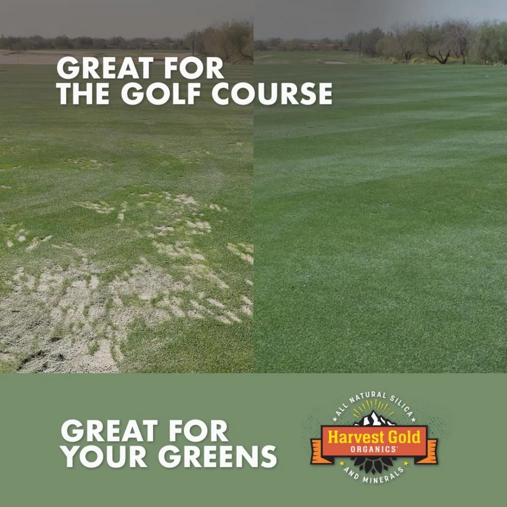 Deals 👍 Harvest Gold Organics Soil & Soil Amendments Premium Soil Conditioner Organic Provides Organic Nutrients ⭐ 5 Deals 👍 Harvest Gold Organics Soil & Soil Amendments Premium Soil Conditioner Organic Provides Organic Nutrients ⭐ - Image 5