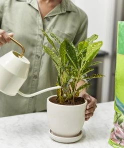 Cheap ✔️ Miracle-Gro Soil & Soil Amendments Moisture Control Peat Moss Moisture Control ✔️ -Landscaping Official Shop 12190882