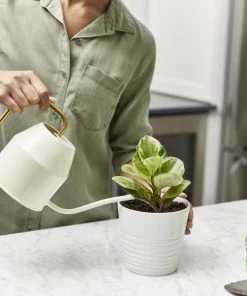 Flash Sale 🔥 Miracle-Gro Soil & Soil Amendments Perlite Improves Soil Structure 😍 -Landscaping Official Shop 12190891