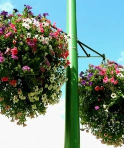 Promo 😀 Soil Moist Soil & Soil Amendments Synthetic Polymer Moisture Control 🤩 -Landscaping Official Shop 15604161