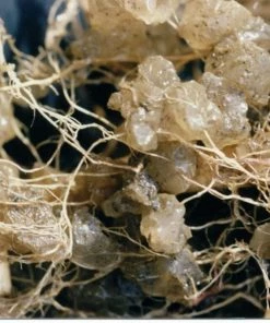 Promo 😀 Soil Moist Soil & Soil Amendments Synthetic Polymer Moisture Control 🤩 -Landscaping Official Shop 15604162