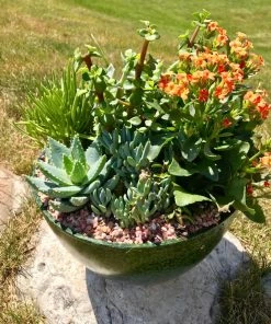 Cheapest ⌛ AKASHA Landscaping Rock 4-lb Indoor Decorative Rock ❤️ -Landscaping Official Shop 16989167