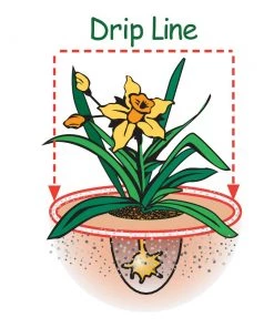 Flash Sale 😀 Espoma Soil & Soil Amendments Garden Organic Lime Ph Balancer 🎁 -Landscaping Official Shop 42677962