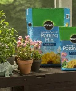 Best Pirce ❤️ Miracle-Gro Soil & Soil Amendments Moisture Control 50-Quart Potting Soil Mix 🤩 13 Best Pirce ❤️ Miracle-Gro Soil & Soil Amendments Moisture Control 50-Quart Potting Soil Mix 🤩 -Landscaping Official Shop 42708414