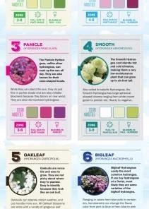 Brand new 🌟 Espoma Soil & Soil Amendments Soil Acidifier Organic Ph Balancer 👏 -Landscaping Official Shop 43201441