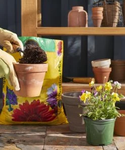 Top 10 ✨ Miracle-Gro Soil & Soil Amendments Potting Mix Bundle 16-Quart Potting Soil Mix ⭐ -Landscaping Official Shop 44004019