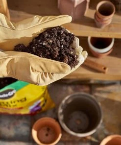 Top 10 ✨ Miracle-Gro Soil & Soil Amendments Potting Mix Bundle 16-Quart Potting Soil Mix ⭐ -Landscaping Official Shop 44004091