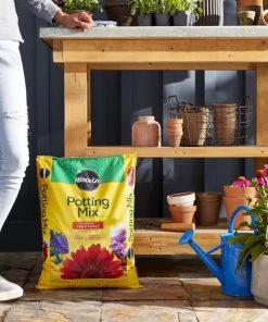 Top 10 ✨ Miracle-Gro Soil & Soil Amendments Potting Mix Bundle 16-Quart Potting Soil Mix ⭐ -Landscaping Official Shop 44004120