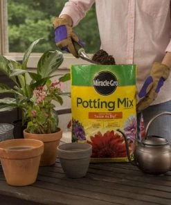 Best deal 🎉 Miracle-Gro Soil & Soil Amendments Potting Mix Bundle 8-Quart Potting Soil Mix ❤️ -Landscaping Official Shop 44004193