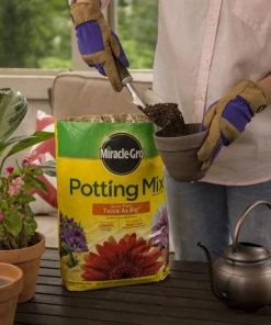 Best deal 🎉 Miracle-Gro Soil & Soil Amendments Potting Mix Bundle 8-Quart Potting Soil Mix ❤️ -Landscaping Official Shop 44004196