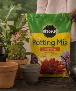 Best deal 🎉 Miracle-Gro Soil & Soil Amendments Potting Mix Bundle 8-Quart Potting Soil Mix ❤️ -Landscaping Official Shop 44004204