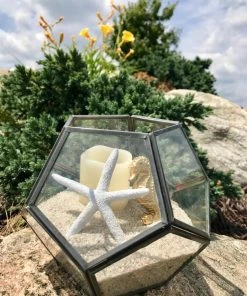 Best reviews of 😀 AKASHA Landscaping Rock 4 lb Beach Sand 👏 5 Best reviews of 😀 AKASHA Landscaping Rock 4 lb Beach Sand 👏 -Landscaping Official Shop 44227704