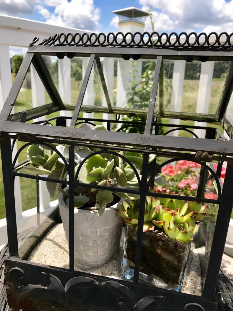 Best reviews of 😀 AKASHA Landscaping Rock 4 lb Beach Sand 👏 2 Best reviews of 😀 AKASHA Landscaping Rock 4 lb Beach Sand 👏 - Image 2