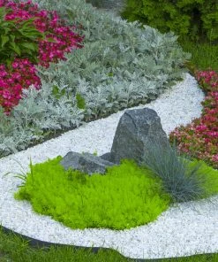 Wholesale 💯 Beach Pebble Company Landscaping Rock Decorative stone chip 30-lb White Decorative Rock 😀 -Landscaping Official Shop 44319150